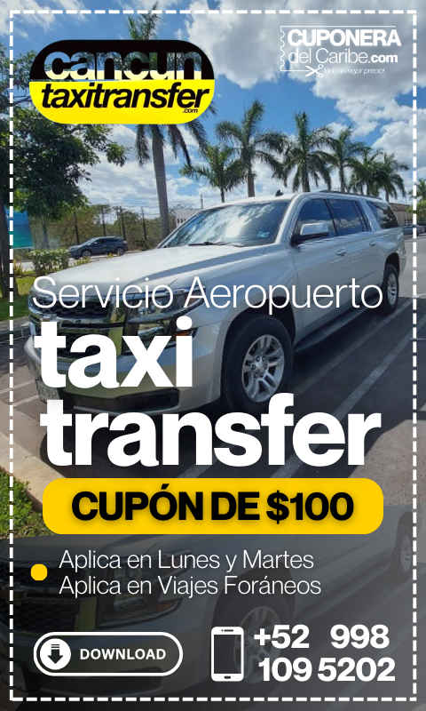 TAXITRANS1