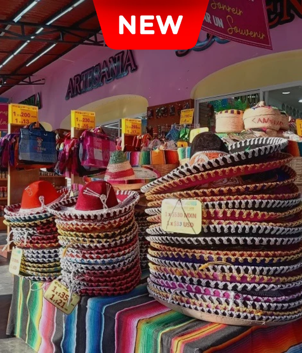 MEXICANO 101